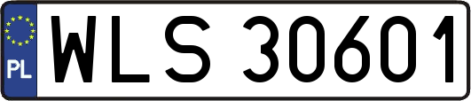 WLS30601