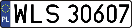 WLS30607