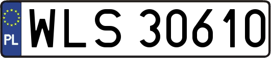 WLS30610