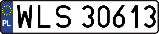 WLS30613