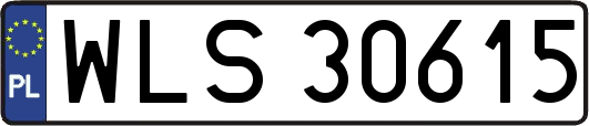 WLS30615