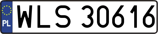 WLS30616