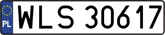 WLS30617