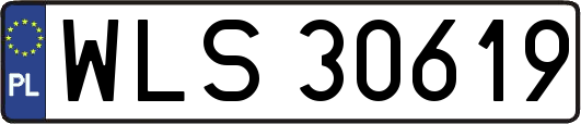 WLS30619
