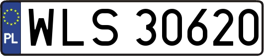 WLS30620