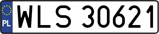 WLS30621