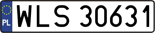 WLS30631