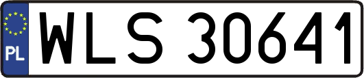 WLS30641