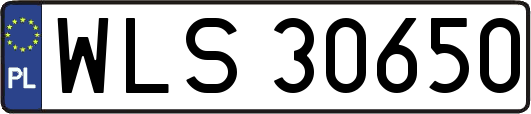 WLS30650