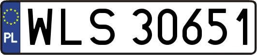WLS30651