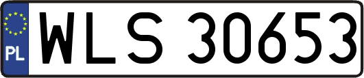 WLS30653
