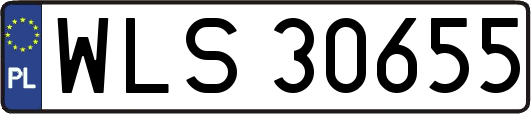 WLS30655