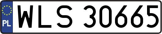 WLS30665