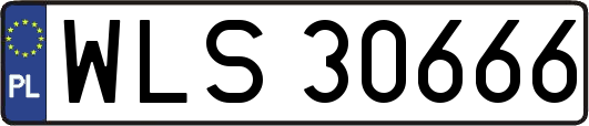 WLS30666