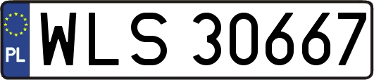 WLS30667
