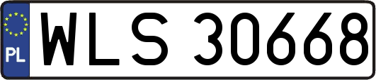 WLS30668