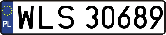 WLS30689
