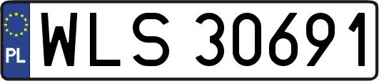 WLS30691