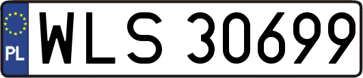WLS30699