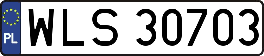 WLS30703