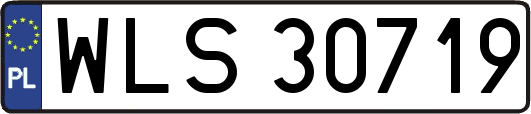 WLS30719