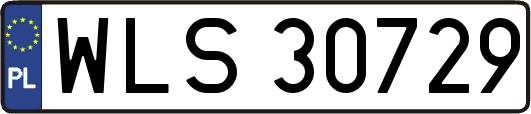 WLS30729