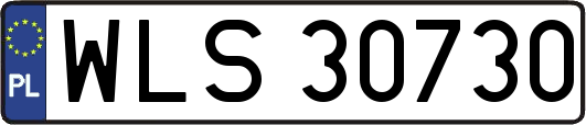 WLS30730