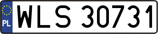 WLS30731