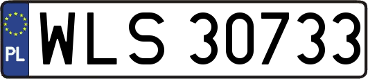 WLS30733