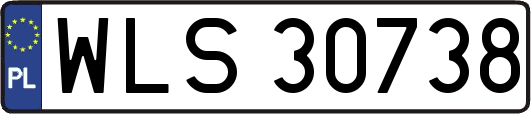WLS30738