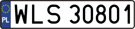 WLS30801