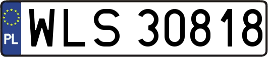 WLS30818