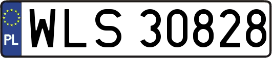 WLS30828