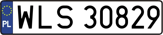 WLS30829