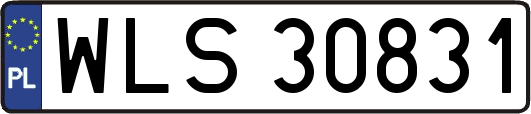WLS30831