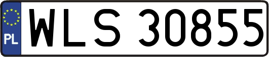 WLS30855