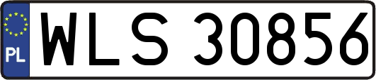 WLS30856