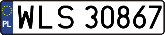 WLS30867