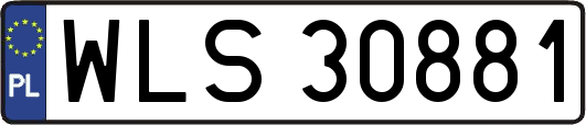 WLS30881