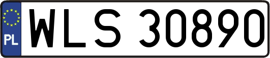 WLS30890