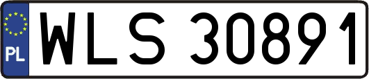 WLS30891