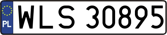 WLS30895