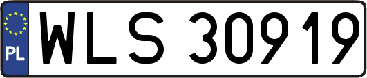 WLS30919
