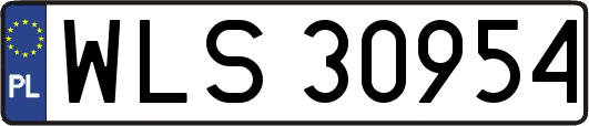 WLS30954