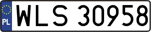 WLS30958