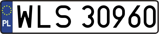 WLS30960