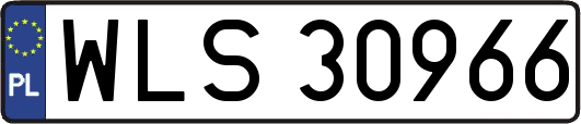 WLS30966