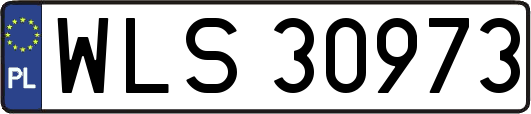 WLS30973