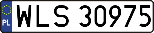 WLS30975