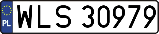 WLS30979